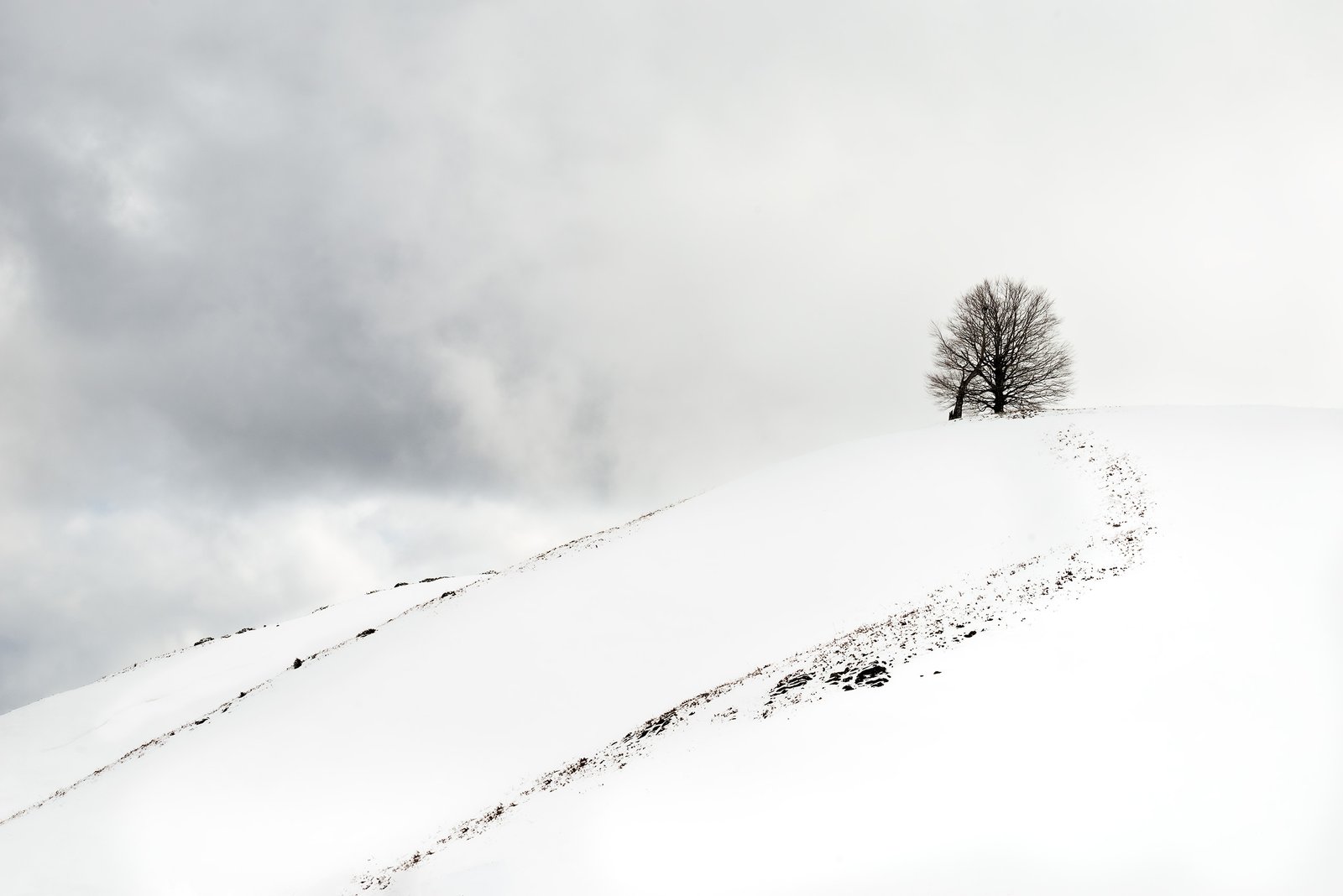 Solitary tree on a snowy hill – limited edition fine art photography print from the Existential Forms series by Aris Dimakopoulos